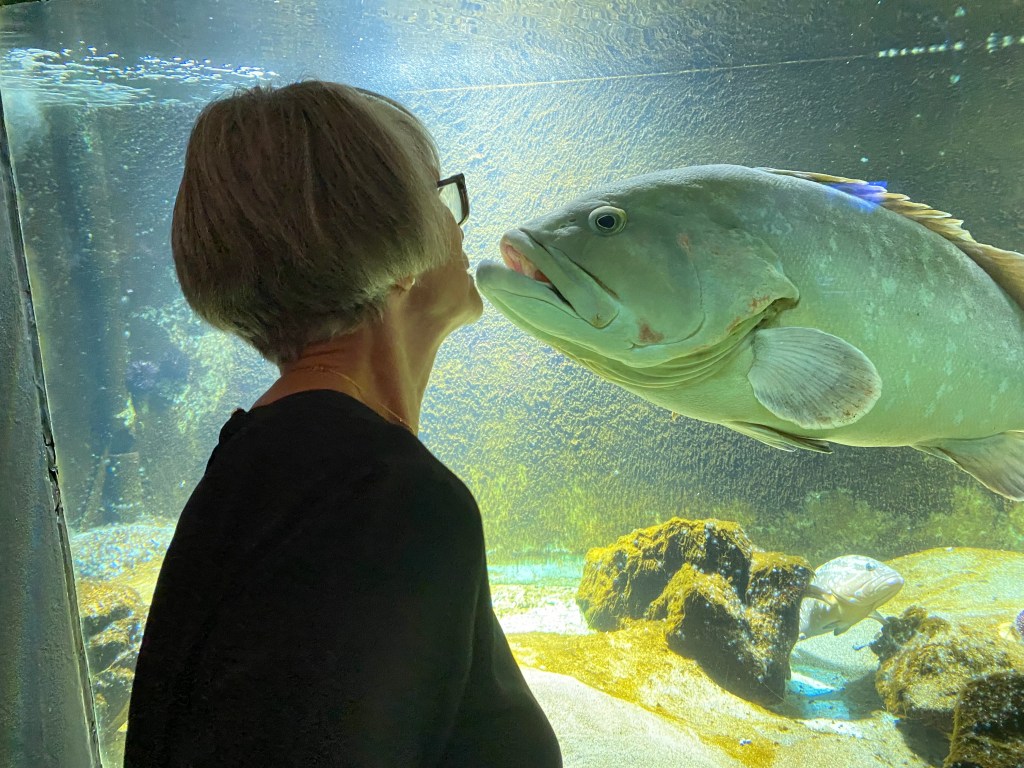 Lady talking to a grouper fish
