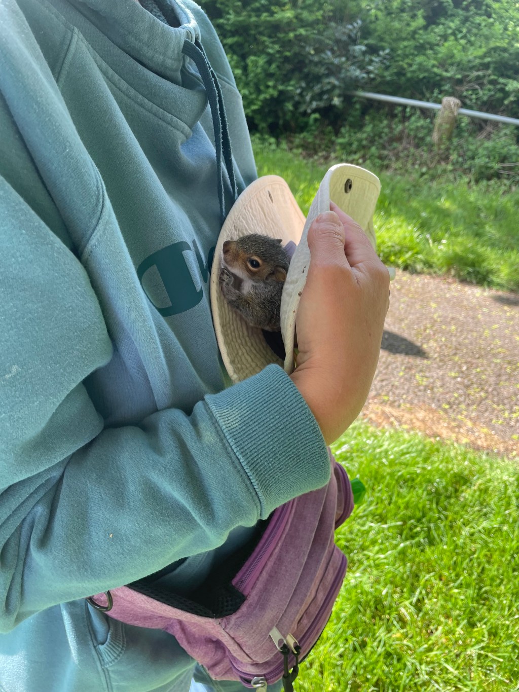 And the winner is . .&nbsp;.